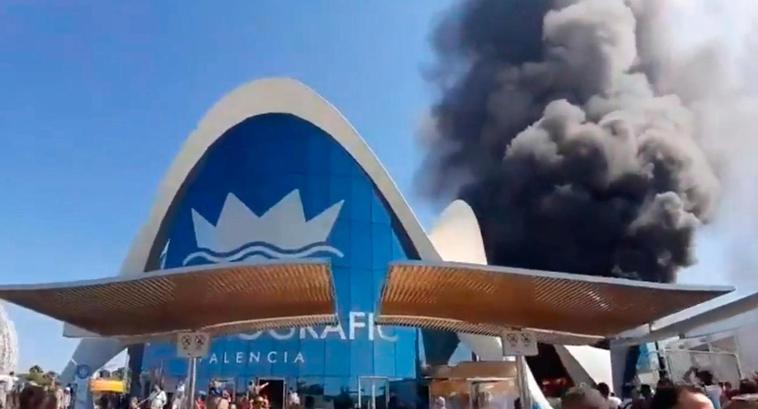 Alarma en el Oceanogràfic de Valencia debido a un incendio