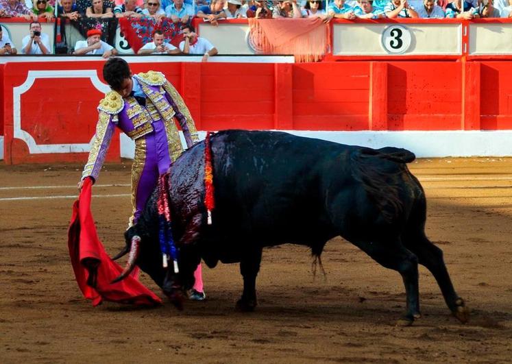 Derechazo de Alejandro Marcos a Parasolillo, el tercero de la tarde. FOTO: LIBERTAD RODRÍGUEZ