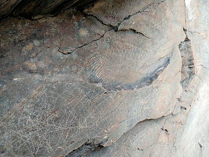 Uno de los grabados encontrados en La Fregeneda.