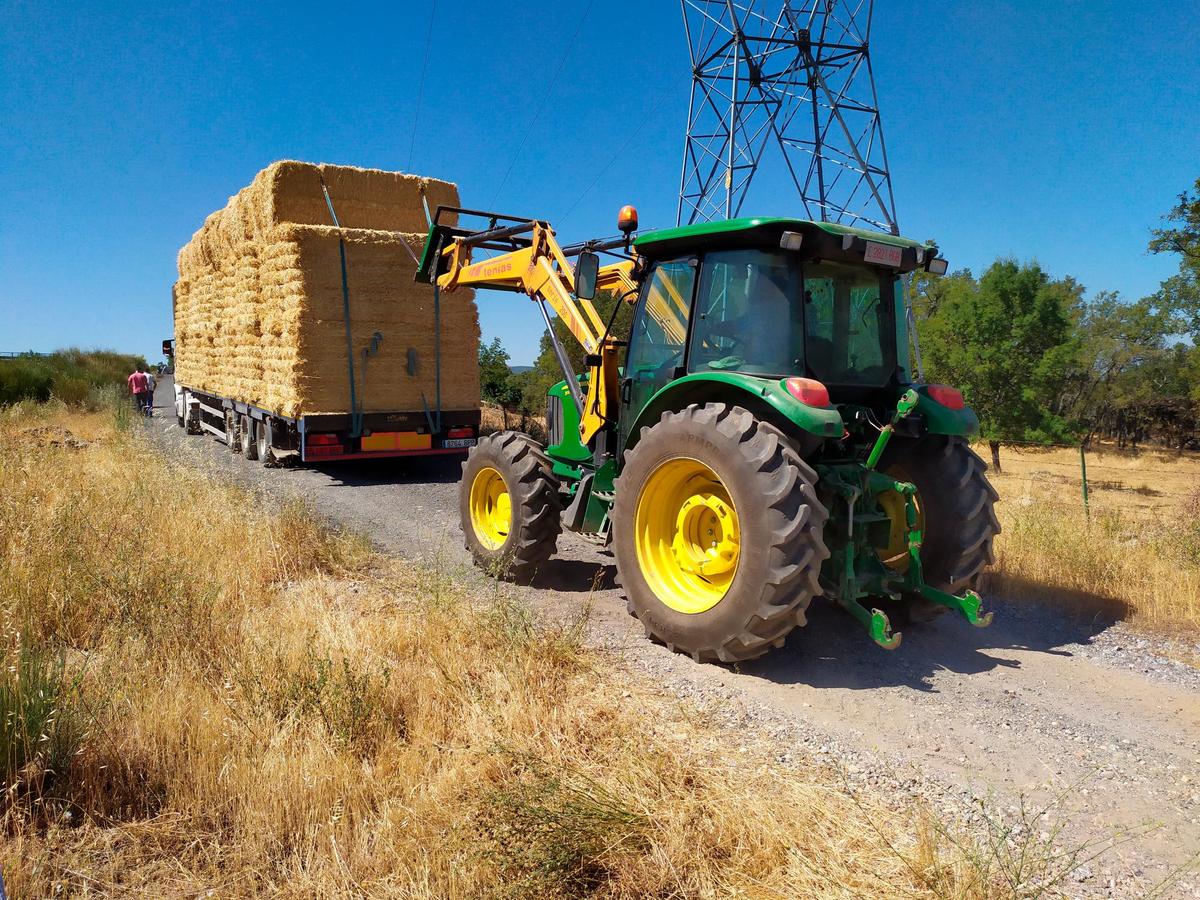 Un camión con paja pudo perder la carga y tuvo que subir el camino dos veces para llevar la mercancía