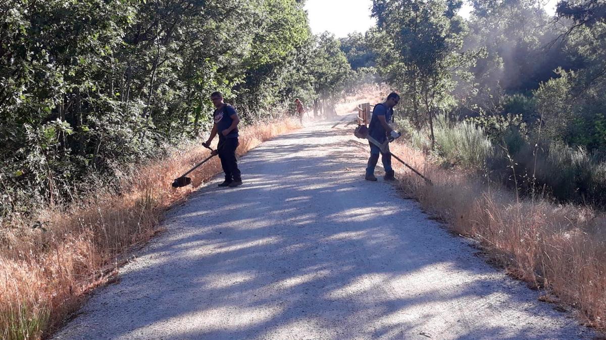 Imagen de los trabajadores de Cantagallo desbrozando el Camino Natural a su paso por su término municipal. I TEL