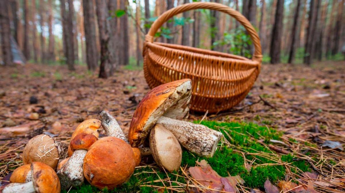 Al contrario de lo que se puede pensar, hay varios alimentos que no deben lavarse.