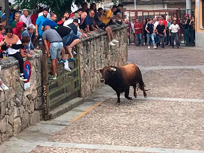 Un joven, en estado grave tras recibir una cornada en el abdomen durante el Toro del Aguardiente de Fuenteguinaldo