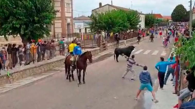 Último encierro en Fuenteguinaldo.