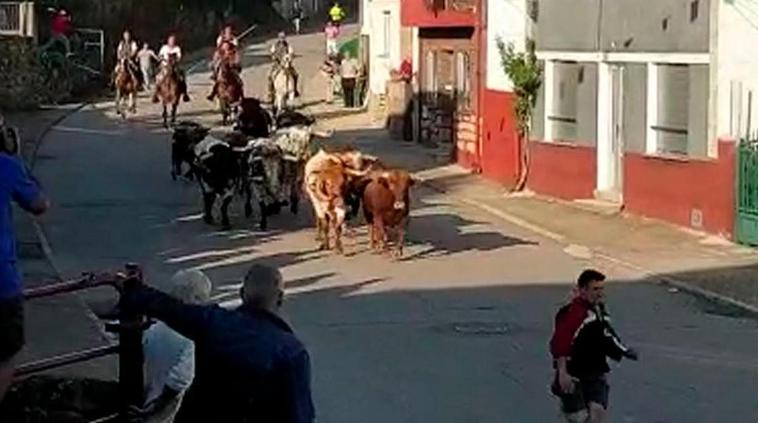 Último encierro en Aldeadávila.