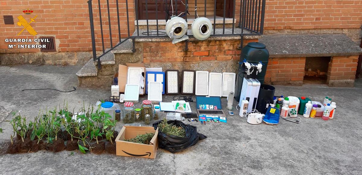 Materiales y plantas incautados por la Guardia Civil.