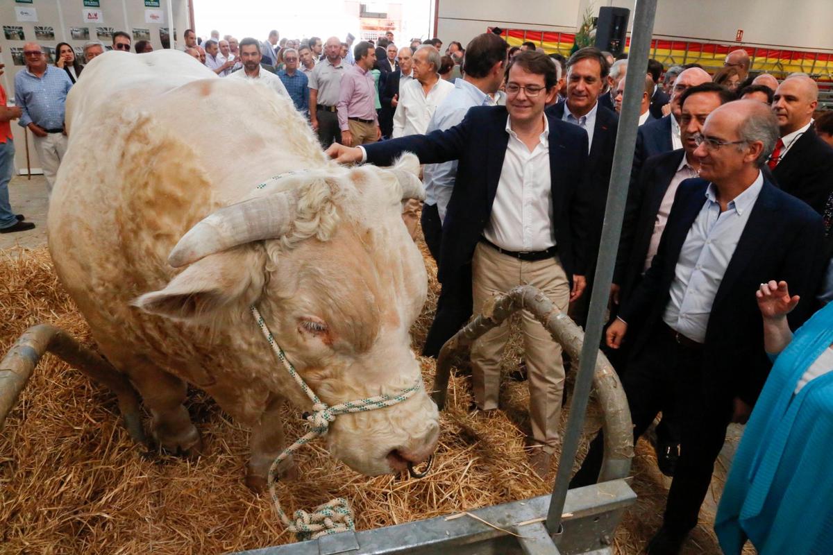 La feria Salamaq 2020 se inauguró este jueves.