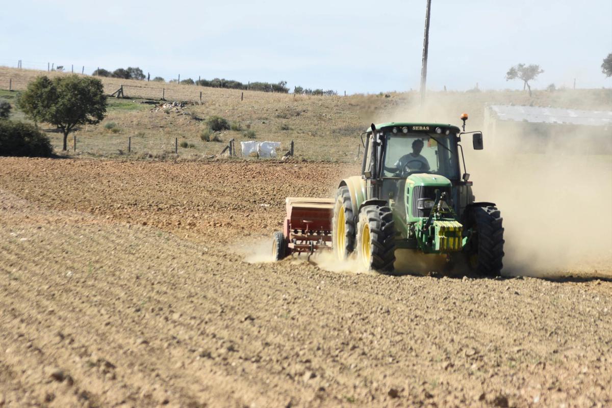 Un agricultor trabaja una tierra en la provincia de Salamanca.