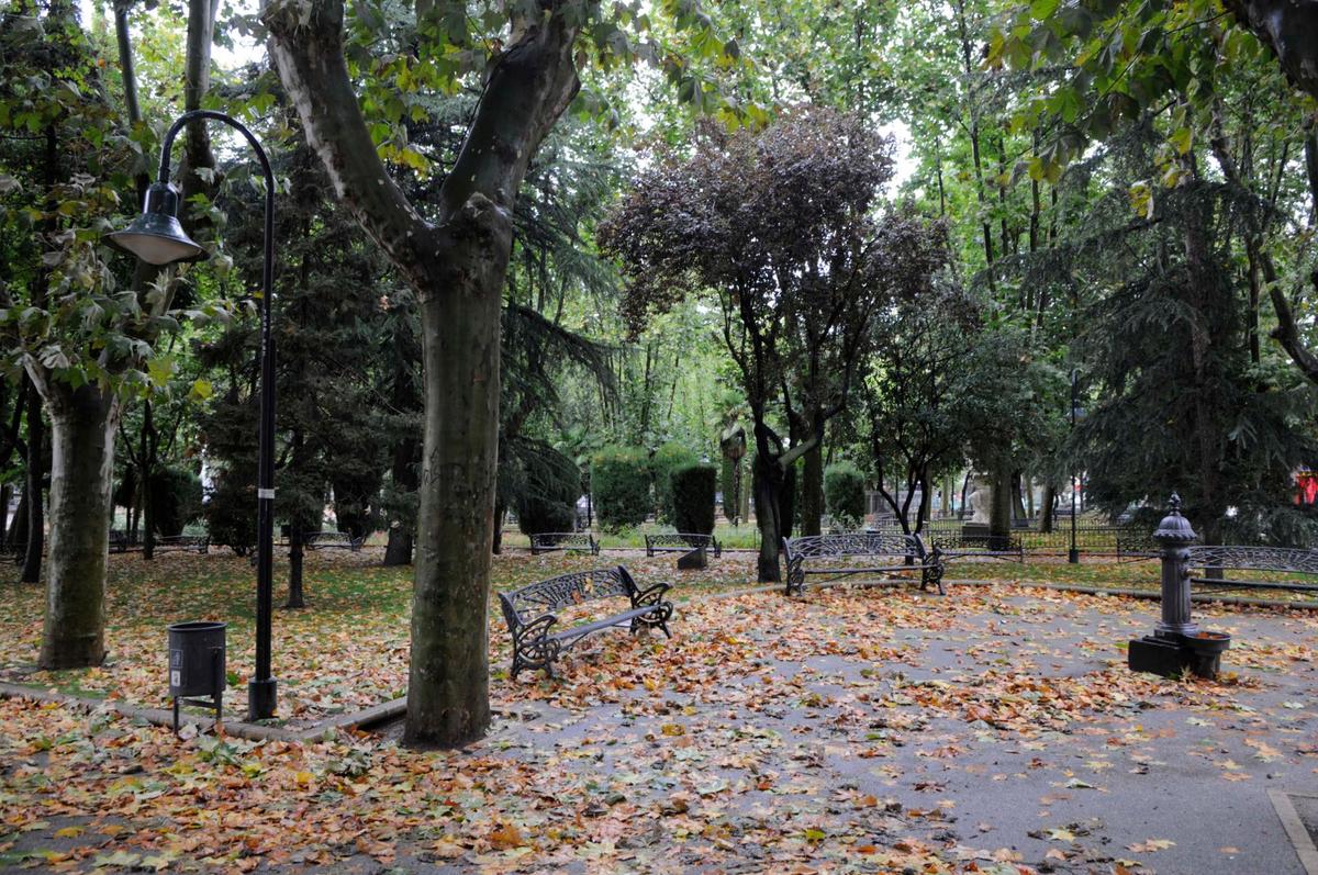 Imagen típica del otoño en Salamanca.
