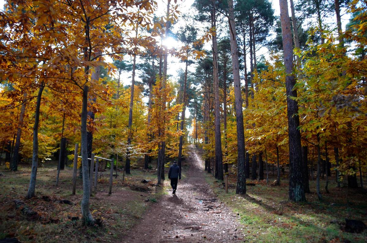 El Parque Forestal de Monte Mario, en Béjar, a la llegada del otoño.