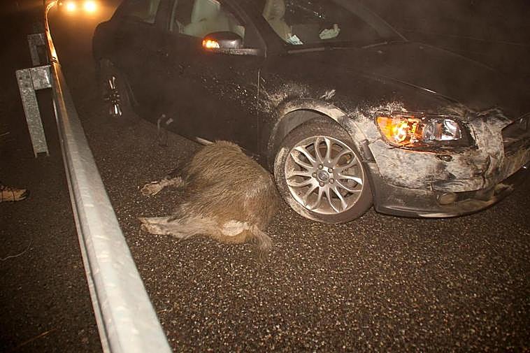 Accidente provocado por el impacto contra un jabalí.