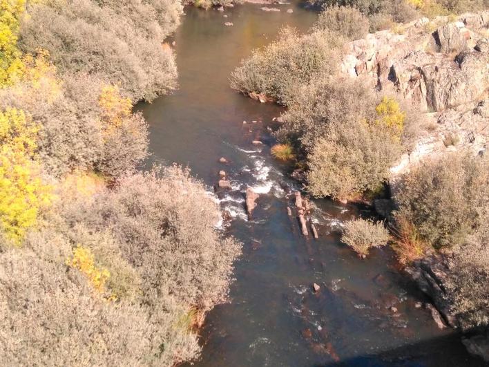 Entre el campo de Agadones y El Rebollar