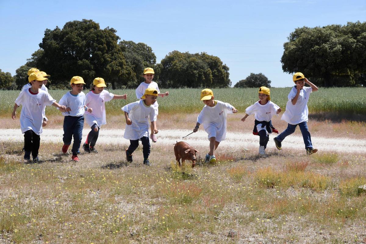 Los niños ganadores de la categoría mural del pasado año disfrutaron de una jornada en la dehesa de Copasa en Trabadillo.