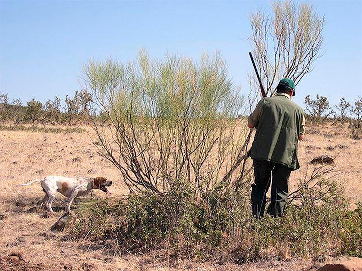 A juicio del consejero, “no procede el planteamiento de inconstitucionalidad”.
