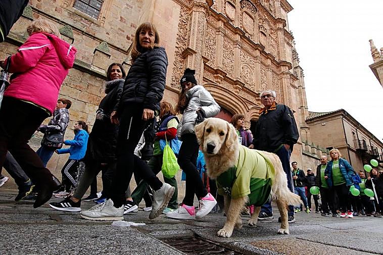 Uno de los perros que participaron en la concentración Contra el Cáncer de Mama.