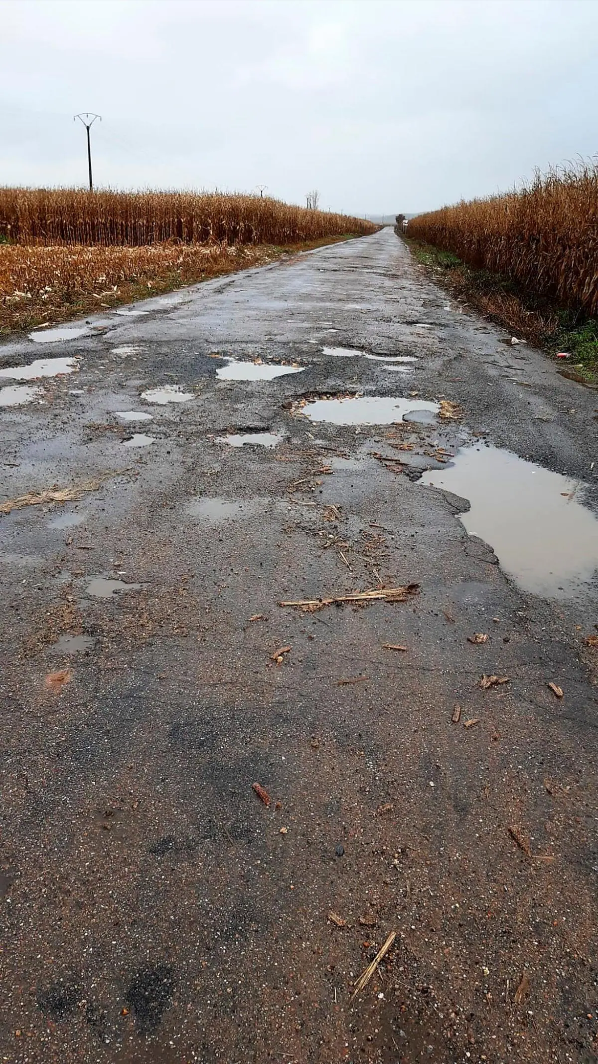 Un tramo del vial que lleva hasta Santa Teresa lleno de baches y con el pavimento en mal estado.