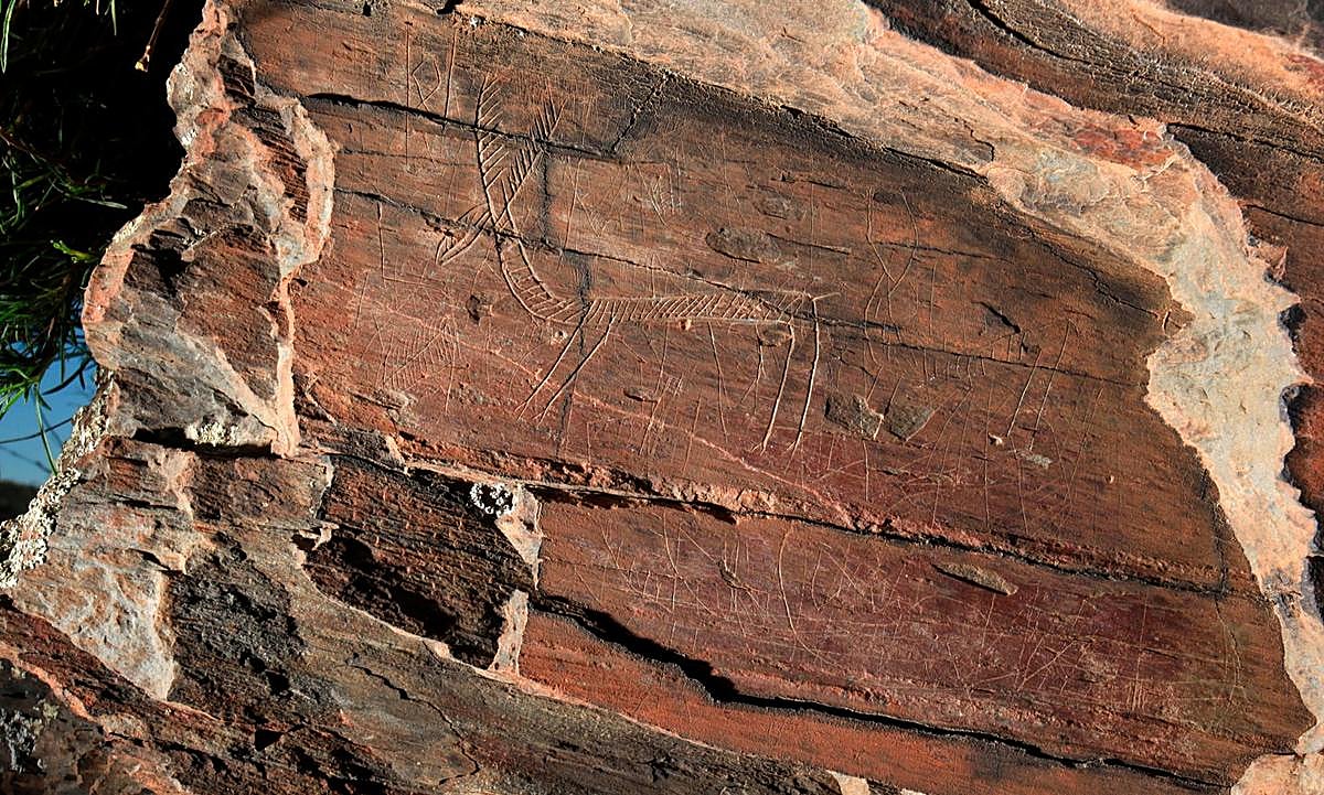 Fotografía realizada por Carlos Vázquez y Mário Reis de uno de los grabados del yacimiento de La Fregeneda.