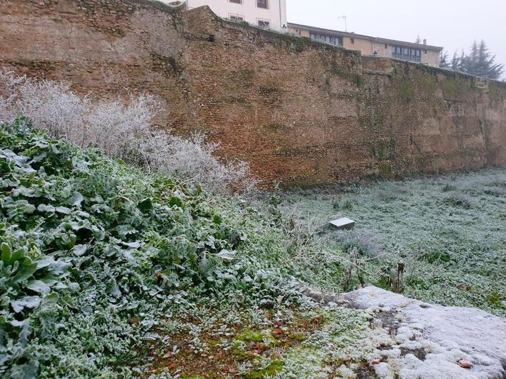 Helada de primera hora de este miércoles en Ciudad Rodrigo.