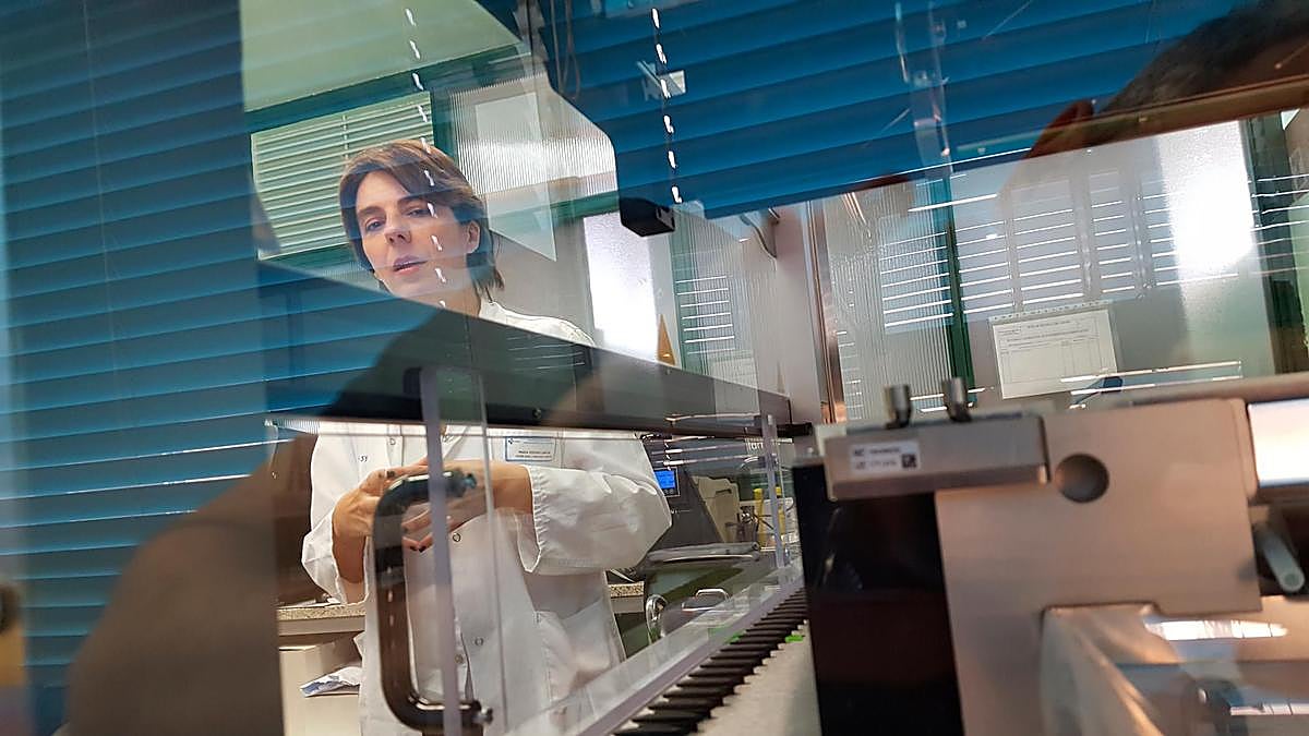 La doctora María Isidoro García supervisa un análisis.