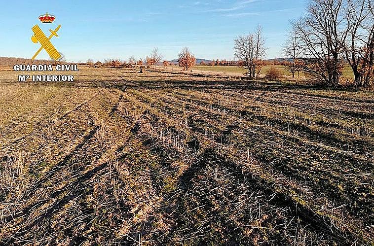 Marcas de neumáticos en el campo.
