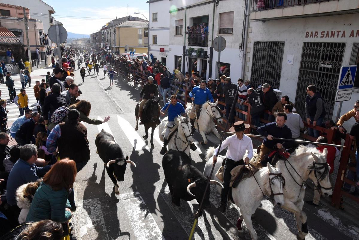 Sigue en directo el encierro a caballo del Carnaval del Toro de Ciudad Rodrigo