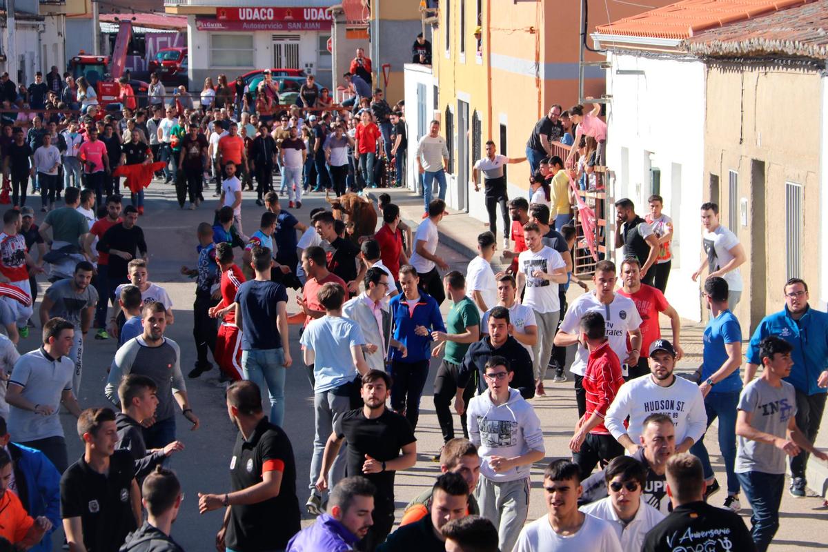 Festejo del Toro del Voto en abril del pasado año. I TRISOL