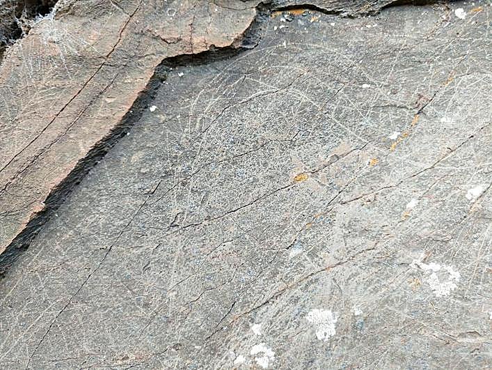 Detalle de uno de los paneles con grabados de arte rupestre.