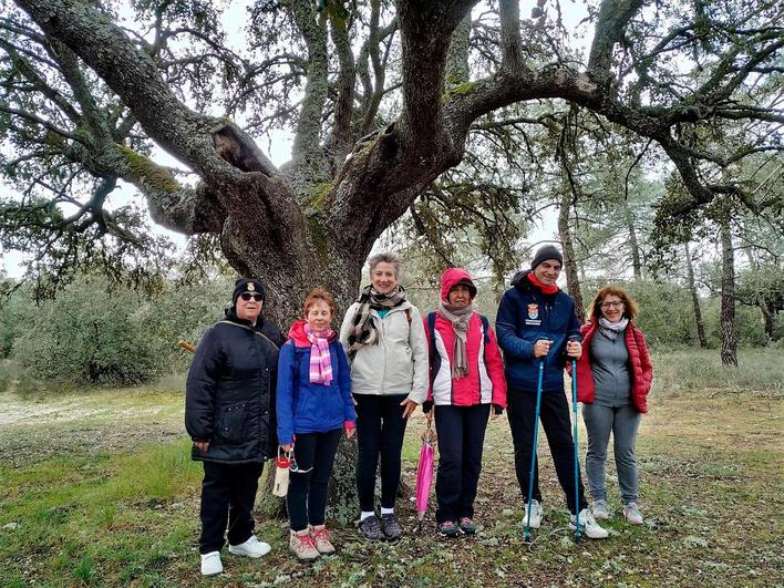 Paseos saludables por Terradillos