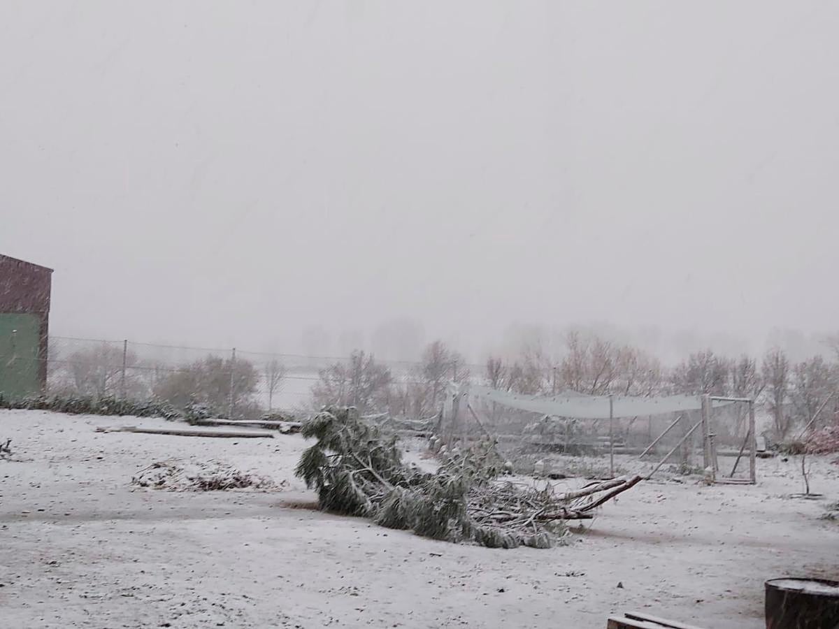 Vista de Peñarandilla.