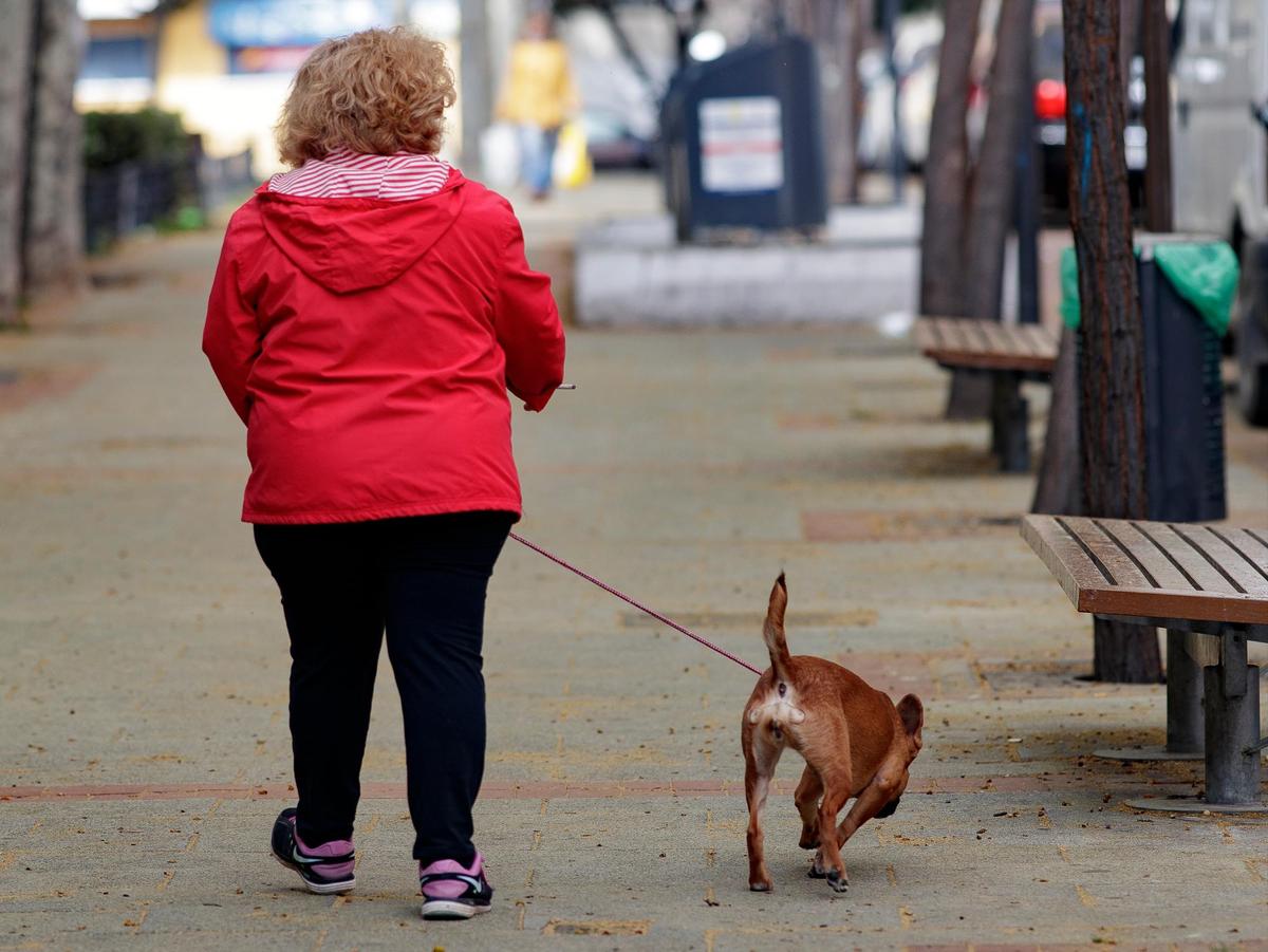 Una mujer pasea a su perro durante el estado de alarma.