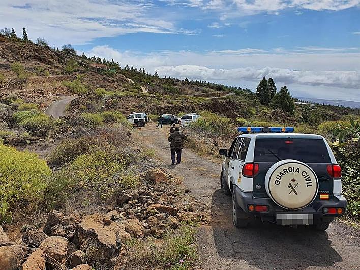 La Guardia Civil sanciona a un hombre que estaba cogiendo espárragos.
