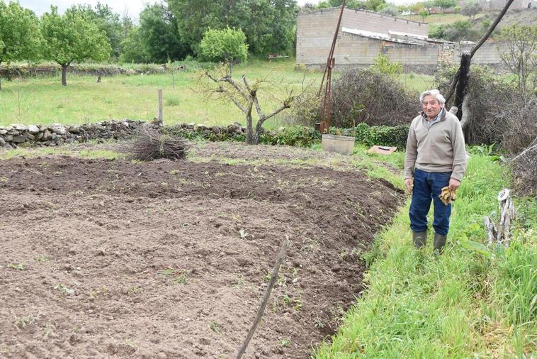 Sebastián Martín preparando su pequeño huerto en Pereña.