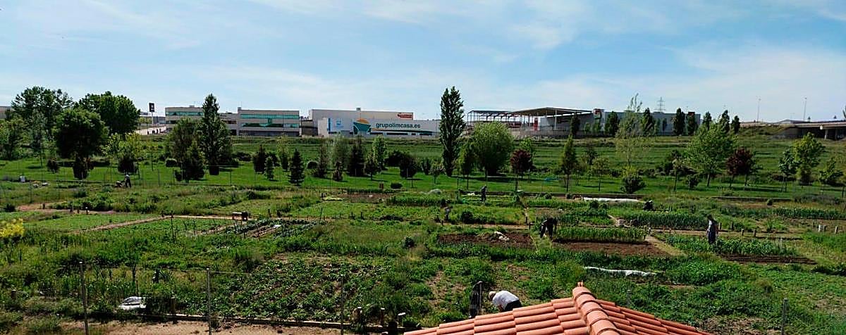 Los usuarios que acudieron ayer a los huertos familiares de Carbajosa cumplieron con las normas.