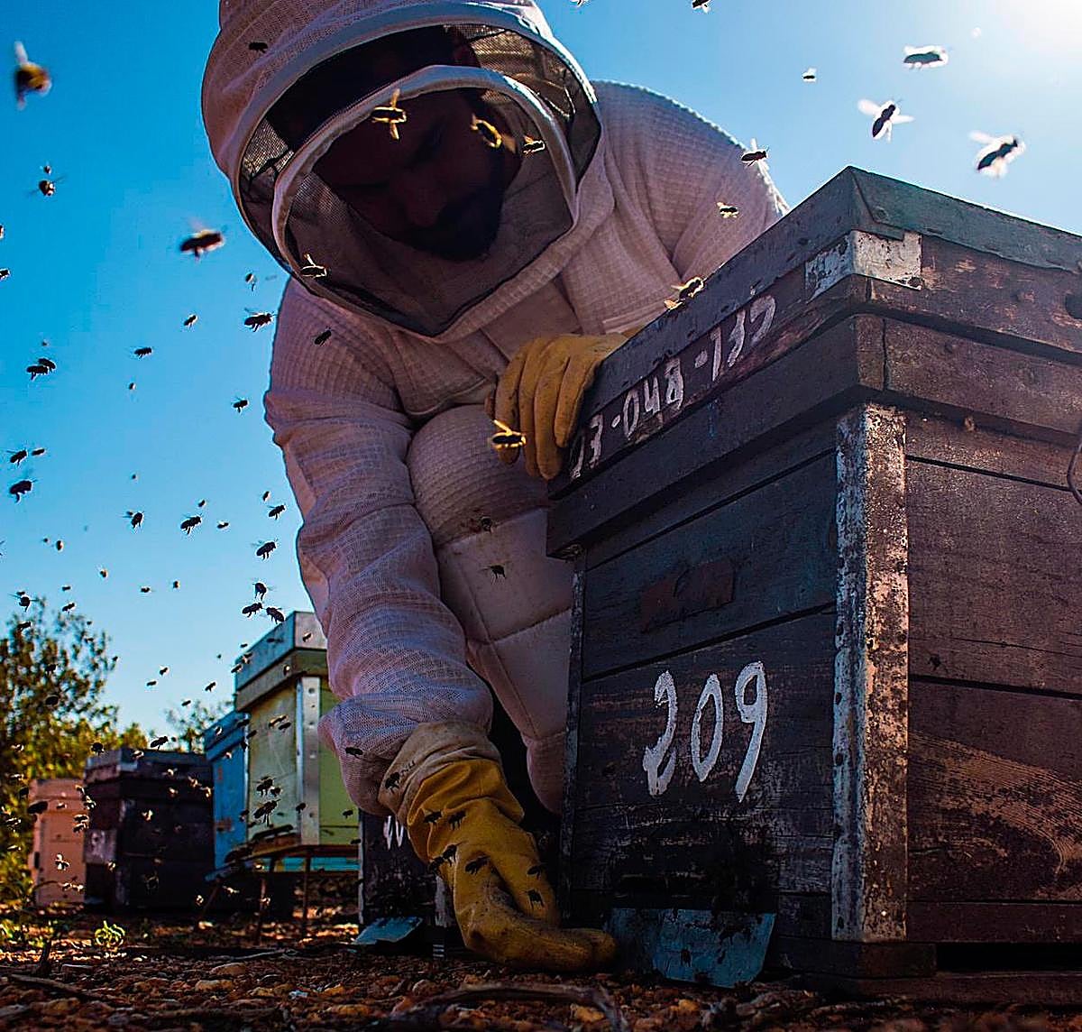 Manuel Sánchez es un joven apicultor salmantino