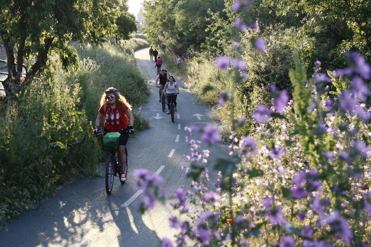 El carril bici invadido por la vegetación.