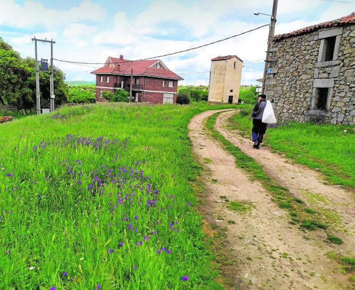 Un vecino pasea por un camino en San Madel.