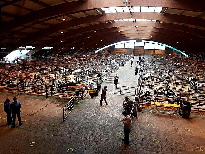 El primer mercado de Pola de Siero tras el cierre por el coronavirus se celebró el pasado jueves.