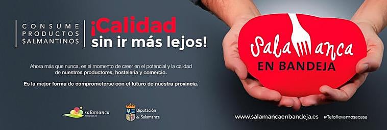 Cartel de la campaña.