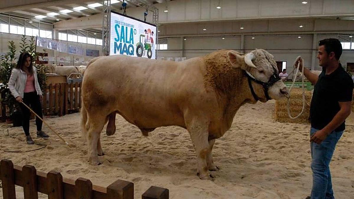 Ejemplar de la edición de Salamaq del pasado año.