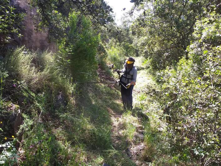 Limpieza de uno de los caminos de San Esteban de la Sierra.