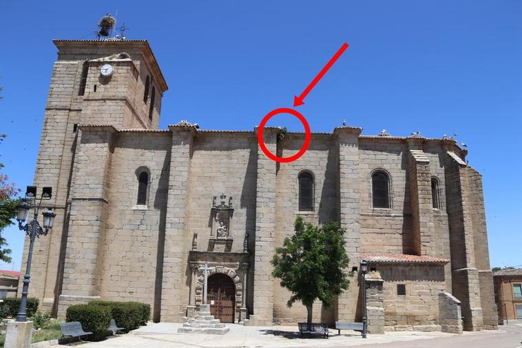 Lugar exacto de la fachada sur del templo donde está creciendo la higuera.