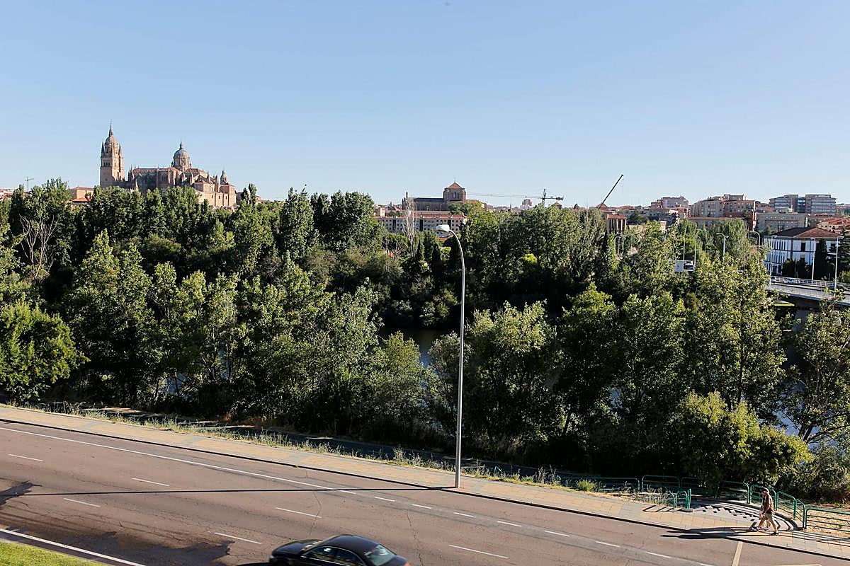 Denso arbolado de ribera junto al Tormes. Fotos: ALMEIDA