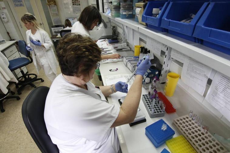 Personal de Hematología en los laboratorios del Clínico.