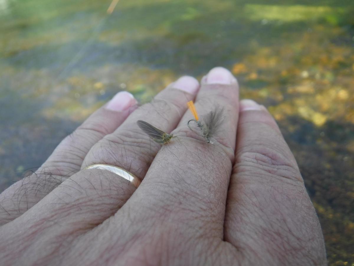 Una efemera natural y su imitación para la pesca.