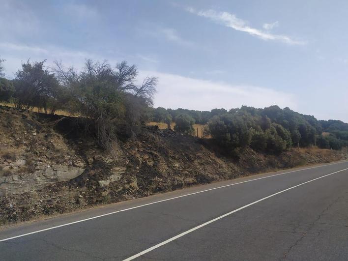 Segundo incendio en una semana en el mismo punto junto al pantano de Santa Teresa