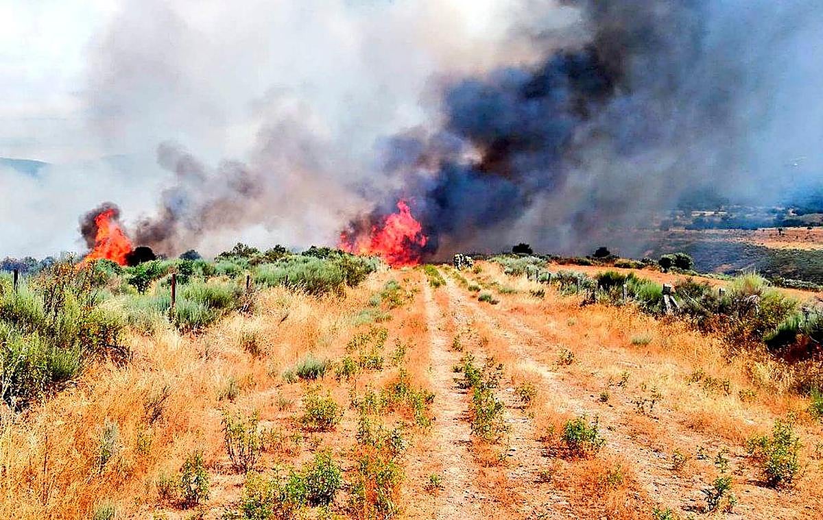 Imagen del incendio en Serradilla del LLano. | @AT_BRIF