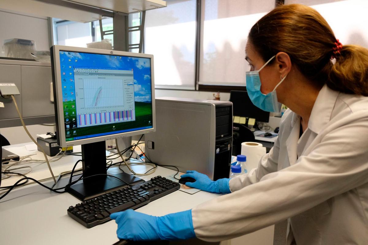 Una técnico de laboratorio analiza los resultados de una prueba PCR.