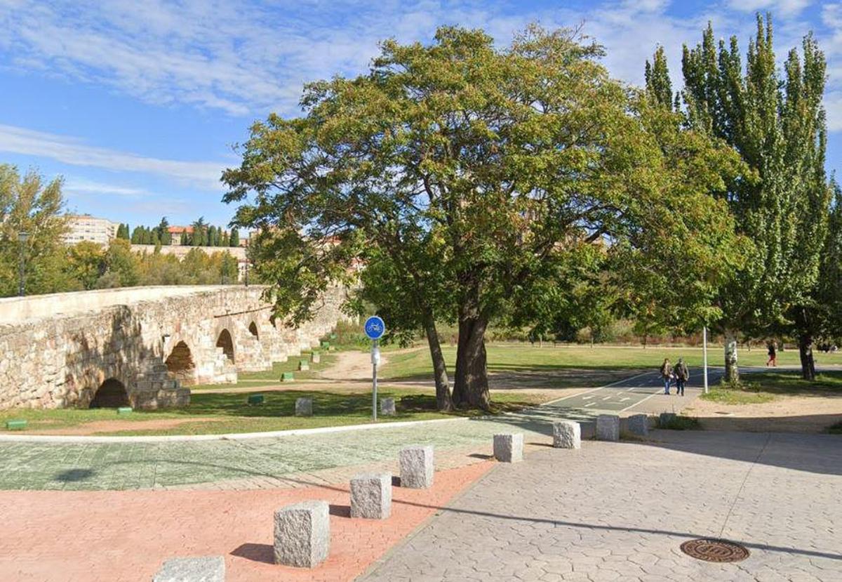 Imagen del ‘árbol del cielo’, ya retirado por el Consistorio.