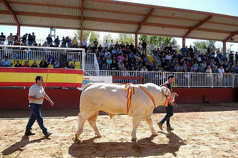 Imagen del anillo de la feria.