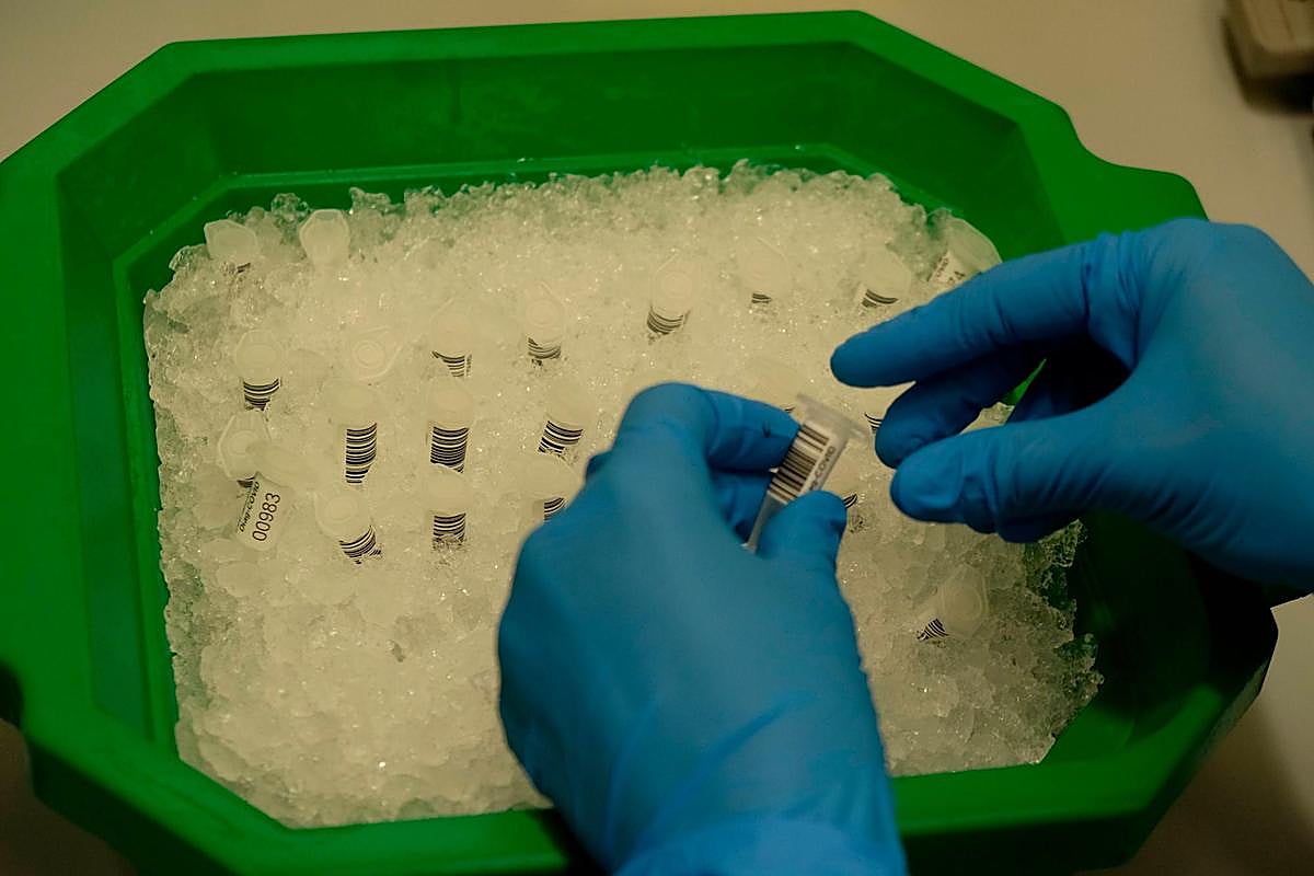 Un técnico toma una muestra para realizar una PCR